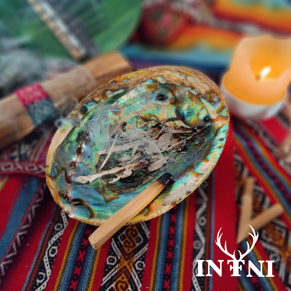 INFNI – Obviousness (Single) sur Ayus Records / YEARNING