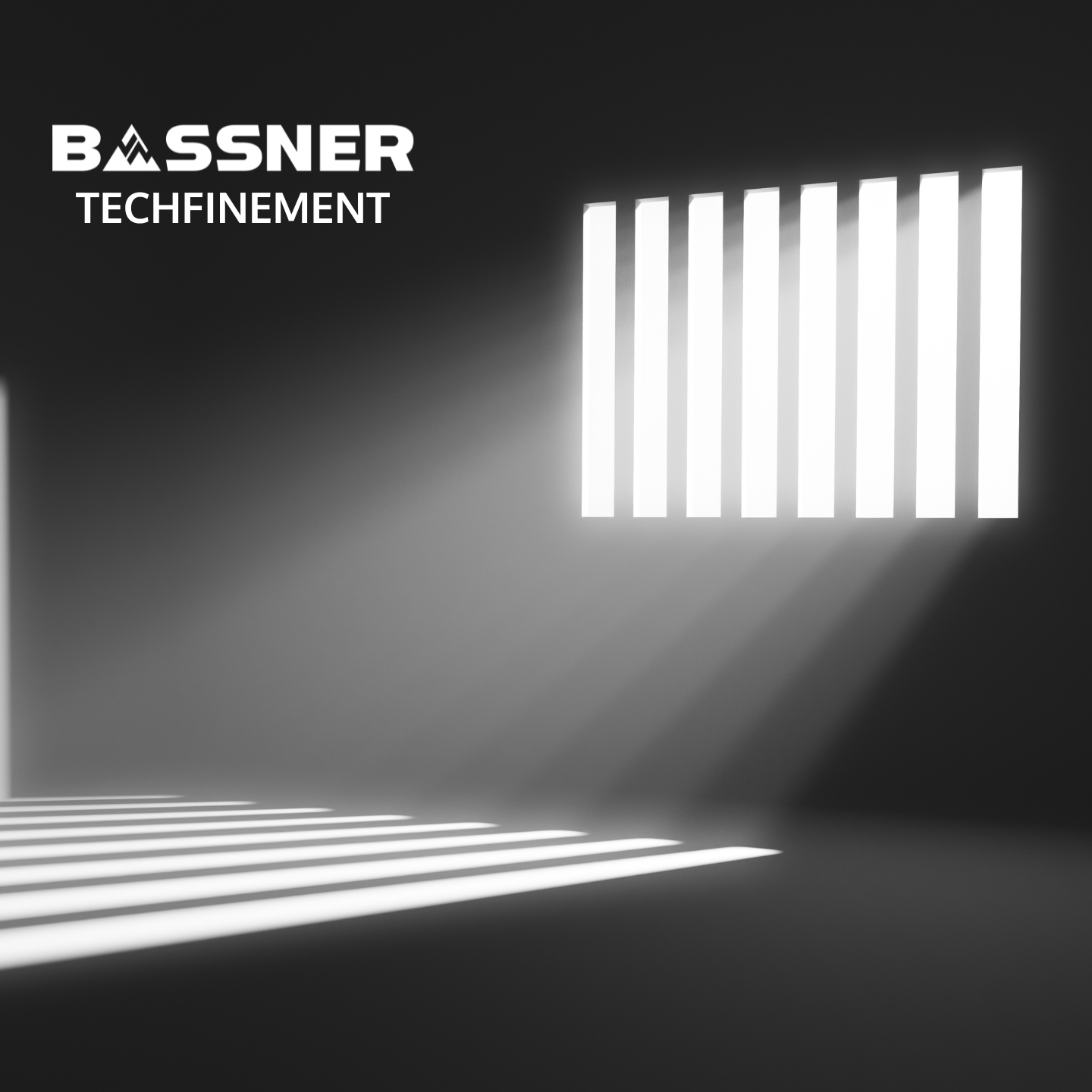 BASSNER – Techfinement (Single) sur Bonjour Musique Club / YEARNING